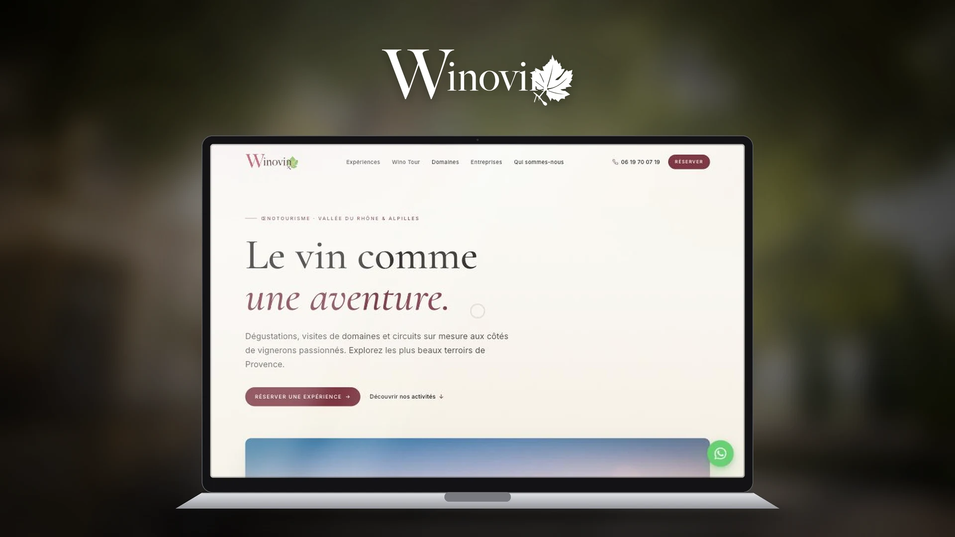 Aperçu du site Winovin
