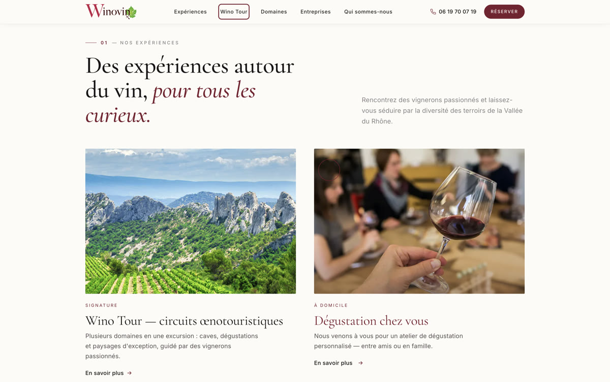 Aperçu du site Winovin